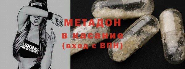 прущие грибы Ладушкин