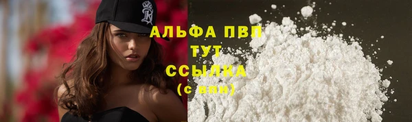 прущие грибы Ладушкин