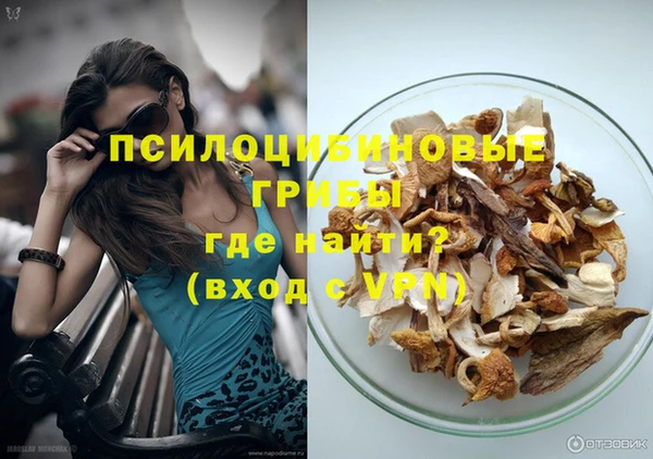 гидропоника Лагань