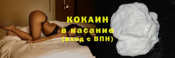 прущие грибы Ладушкин