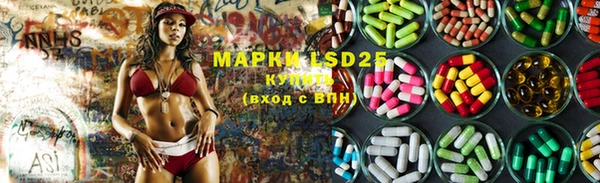 прущие грибы Ладушкин