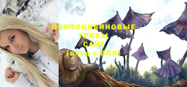гидропоника Лагань