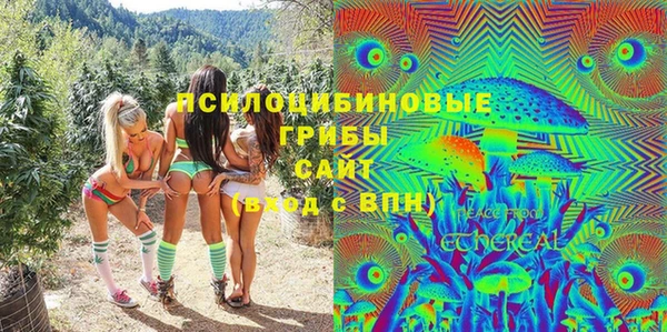 прущие грибы Ладушкин