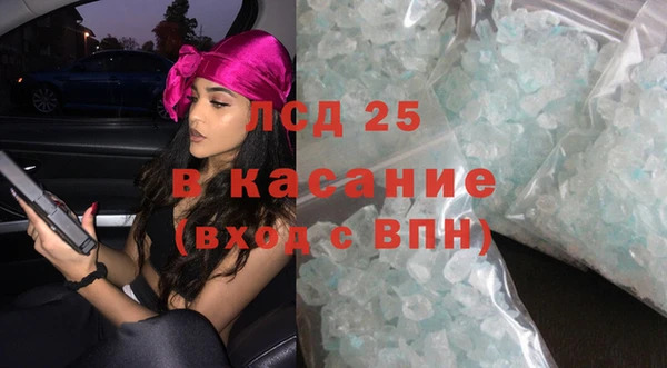 прущие грибы Ладушкин
