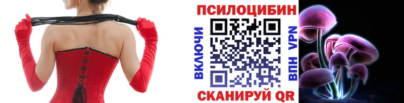 Псилоцибиновые грибы Psilocybine cubensis Мосальск